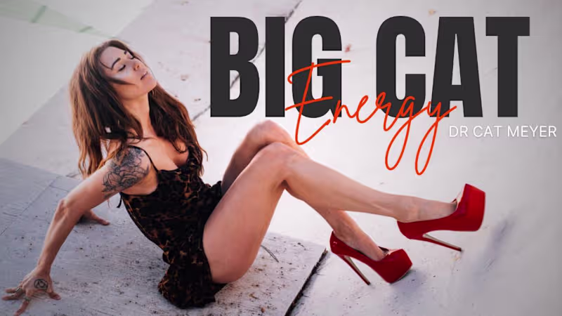 Cover image for Kajabi Evergreen Course, Big Cat Energy