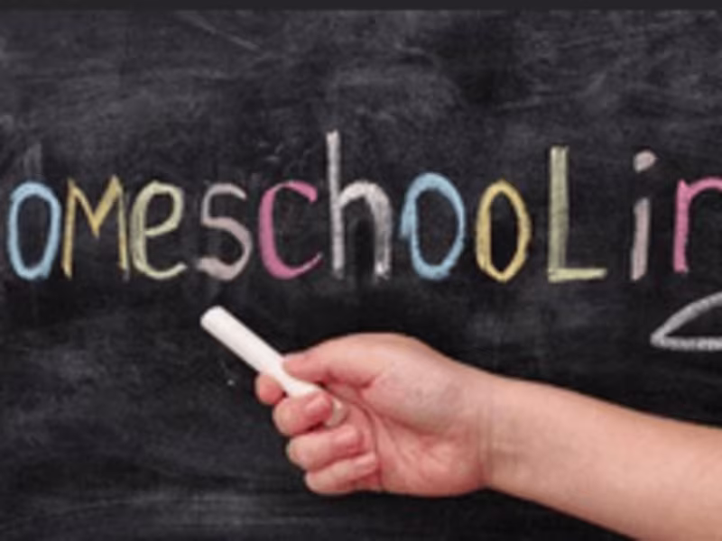 Cover image for Homeschooling 
