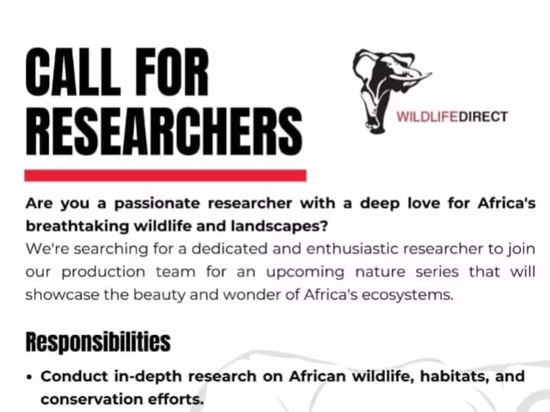 Cover image for Articles