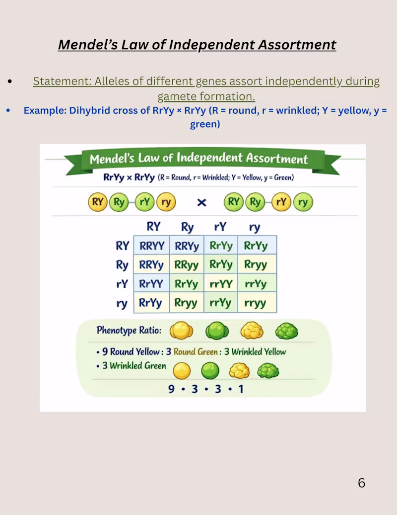 Cover image for Colorful and easy to revise