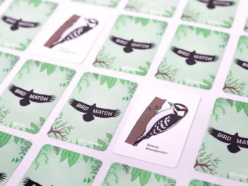 Cover image for BirdMatch