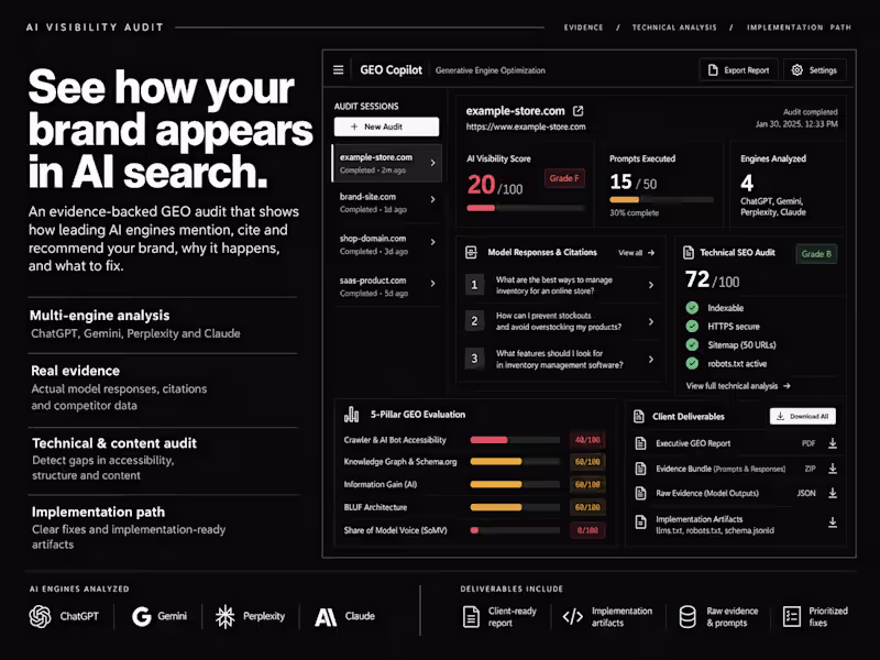Cover image for AI Visibility & GEO Audit