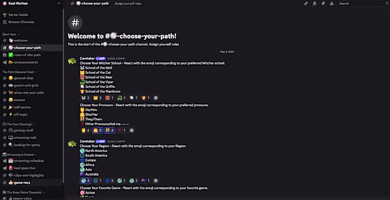 Cover image for Gaming Discord Server Setup and Management