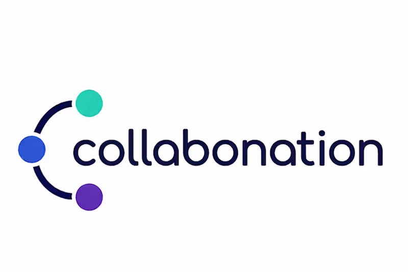Cover image for A project management and collaborator