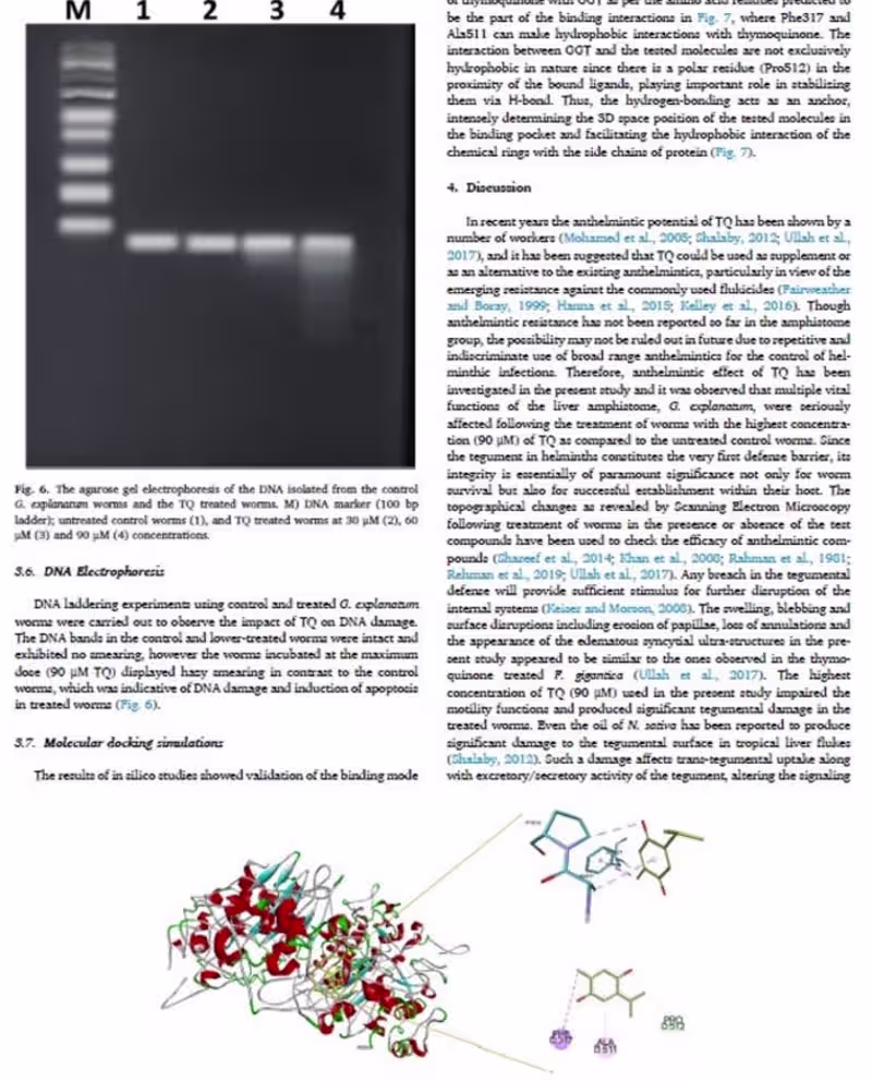 Cover image for writing research article for Scientific Journal