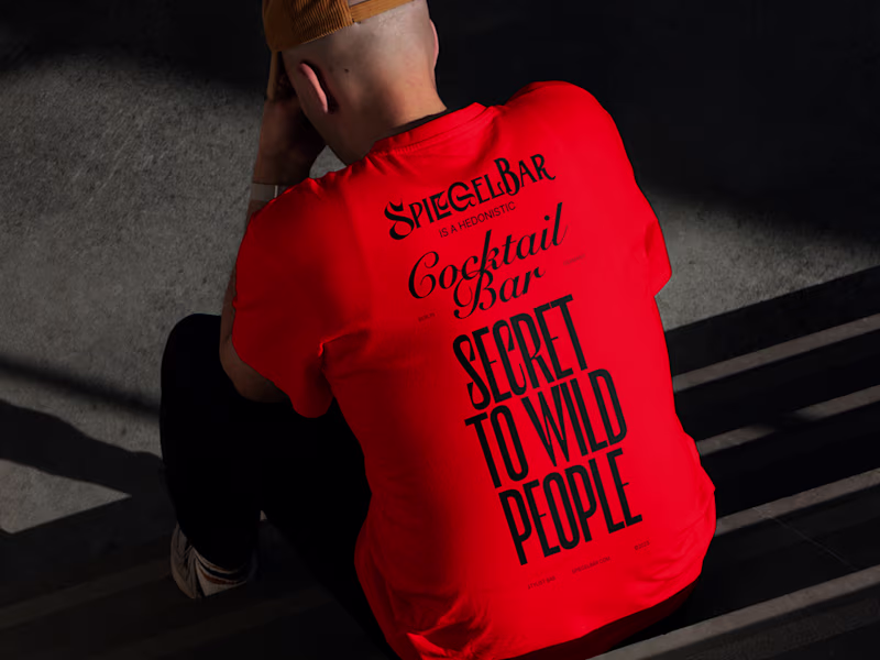 Cover image for Spiegelbar