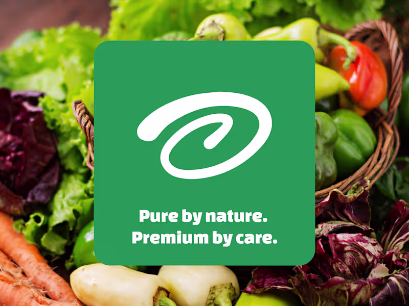 Cover image for Organicor I Visual Identity Design