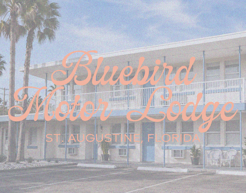 Cover image for The Bluebird Motor Lodge is