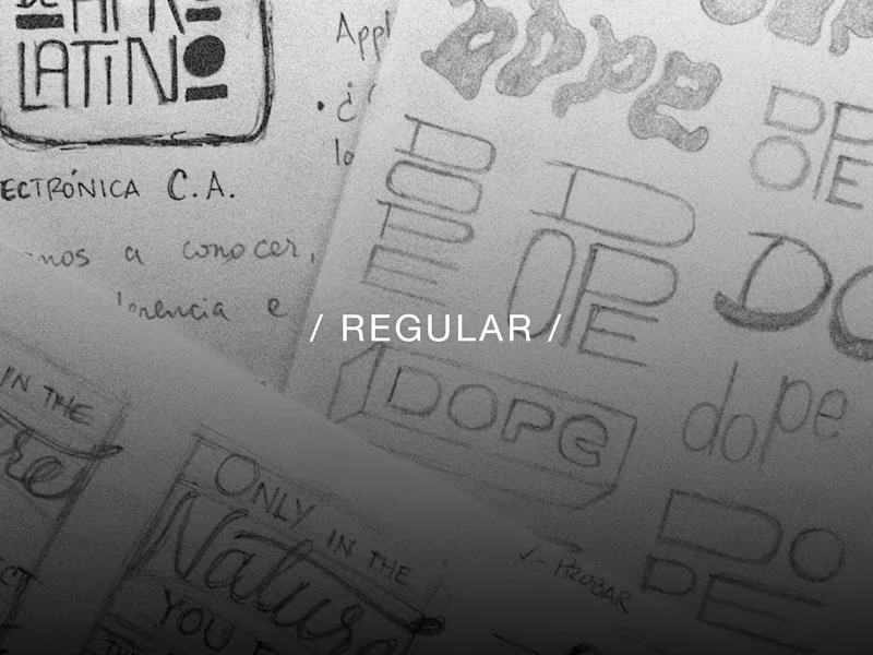 Cover image for / REGULAR /