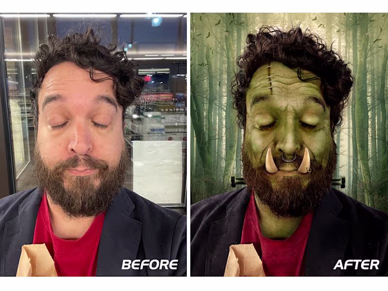 Cover image for Photo manipulation