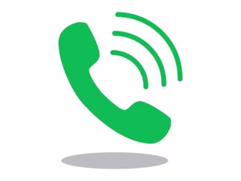 Cover image for Handling the phones