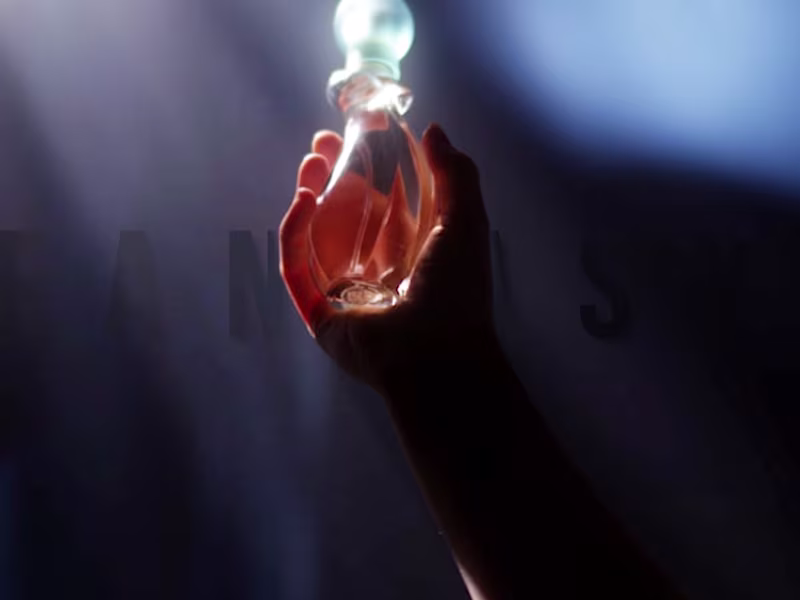 Cover image for Fantasy Perfume
