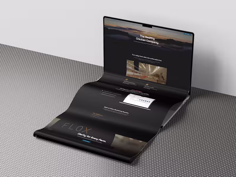Cover image for Framer Development