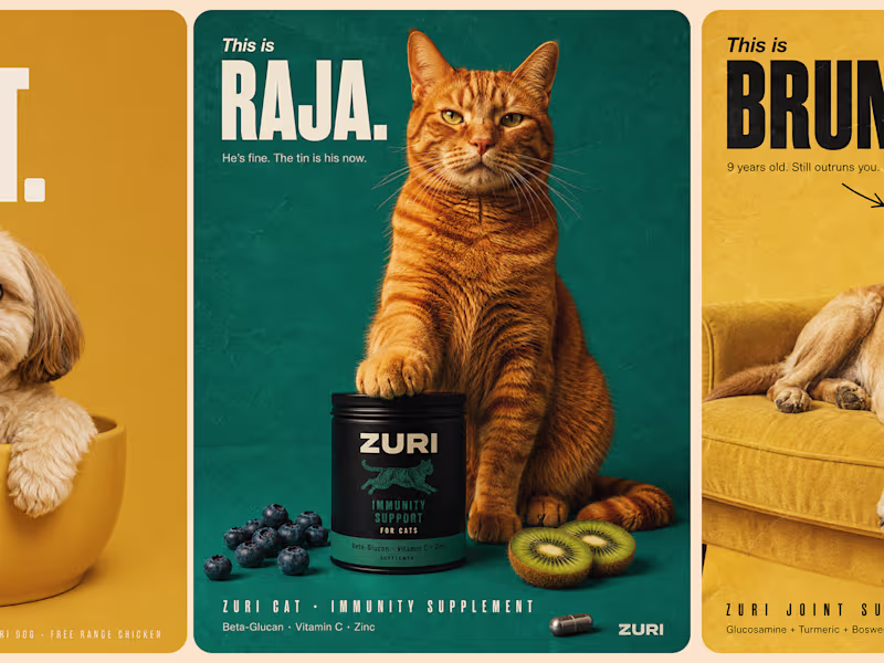 Cover image for Pet supplements that actually have