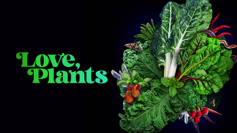 Cover image for Love Plants branding and packaging