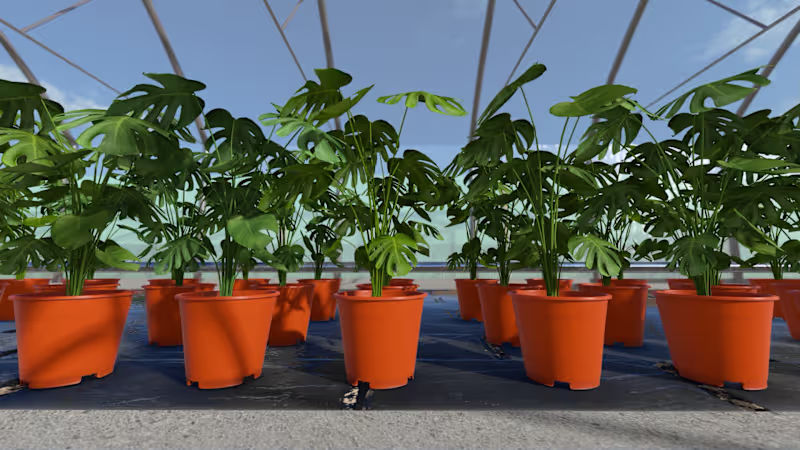 Cover image for SPIDER POT — 3D Animation (Product Visualization) This was a...