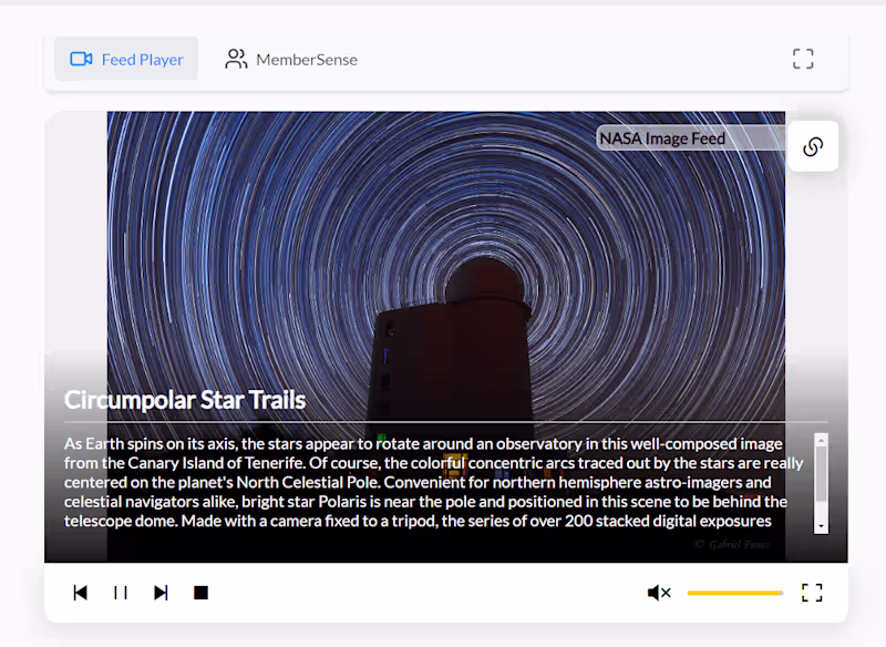 Cover image for Feed Player: An Interactive UI Tool for Image and Video Display