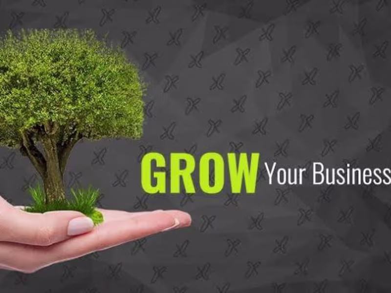 Cover image for Strategic Business Growth & Optimization Consulting