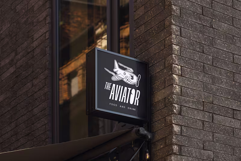 Cover image for The Aviator
