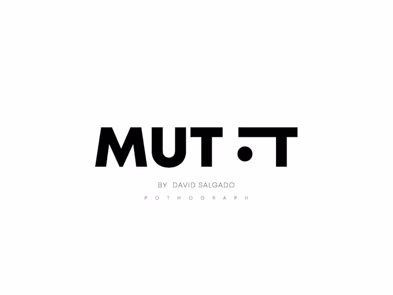 Cover image for THE BRIEF WAS A NICKNAME.
David