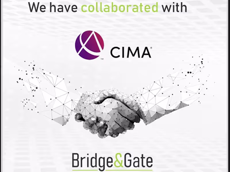 Cover image for Bridge & Gate Brand Identity - International Campaign