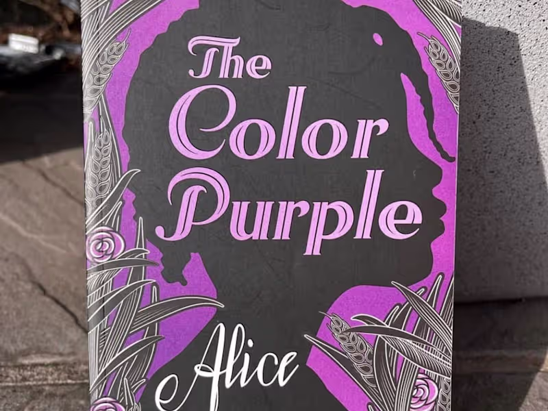 Cover image for The Color Purple (book review/analysis)