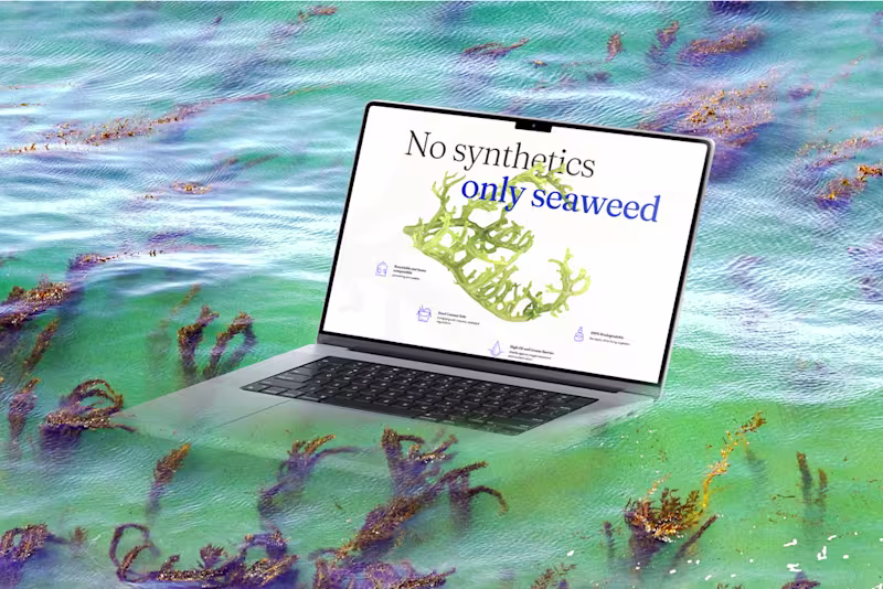 Cover image for Website Experiences that turns users into believers