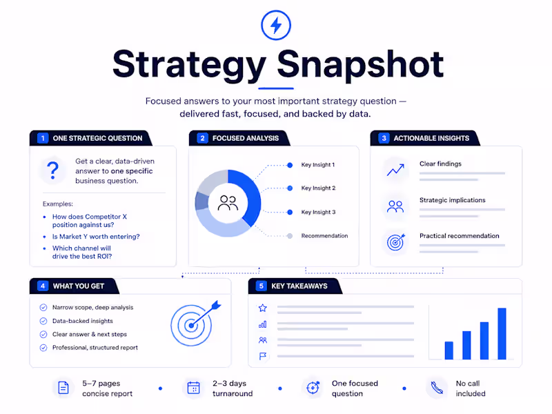 Cover image for Strategy Snapshot