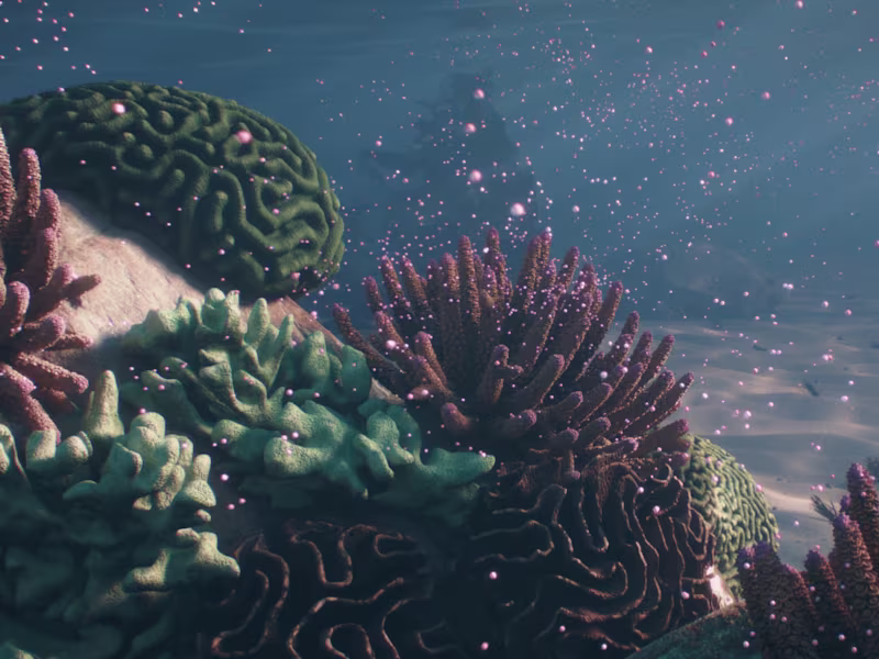 Cover image for Coral Project