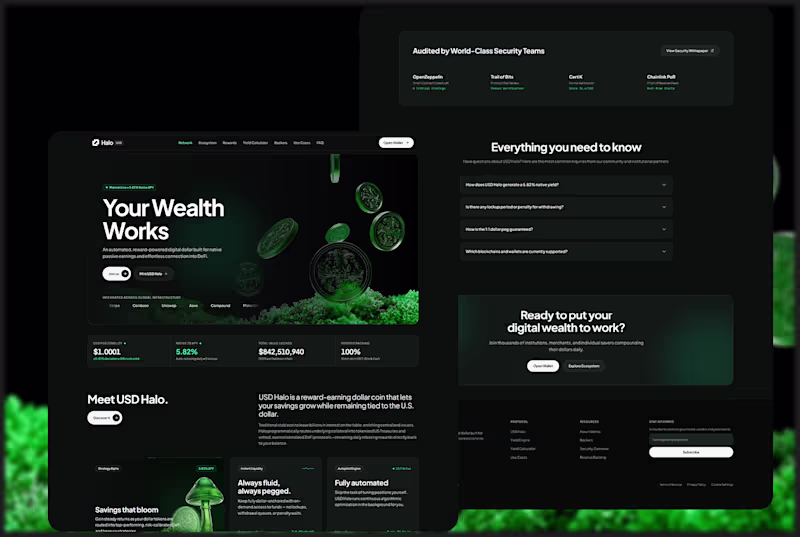 Cover image for Modern USD Halo Stablecoin Landing Page Design