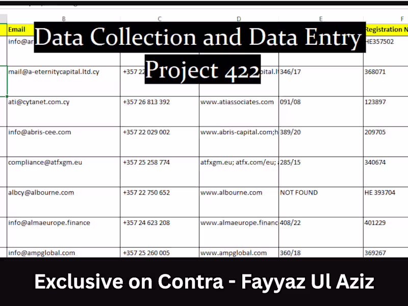 Cover image for 📊 Completed Project: Data Collection & Data Entry – Financi...