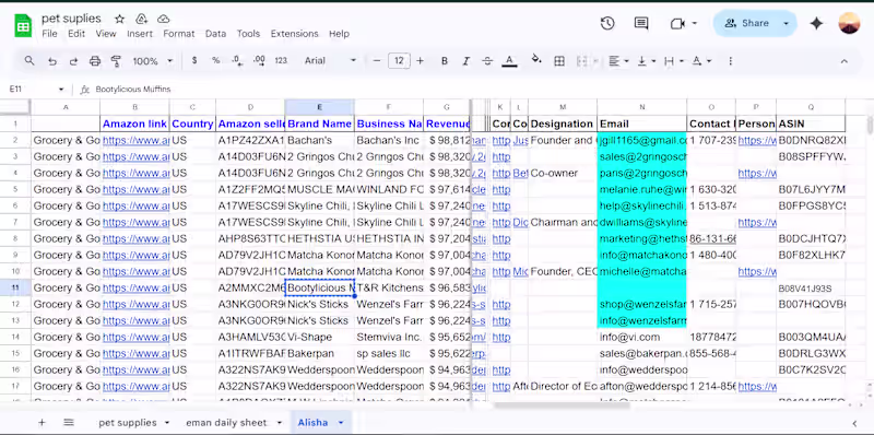 Cover image for "Accurate Spreadsheet Management & Data Cleaning"