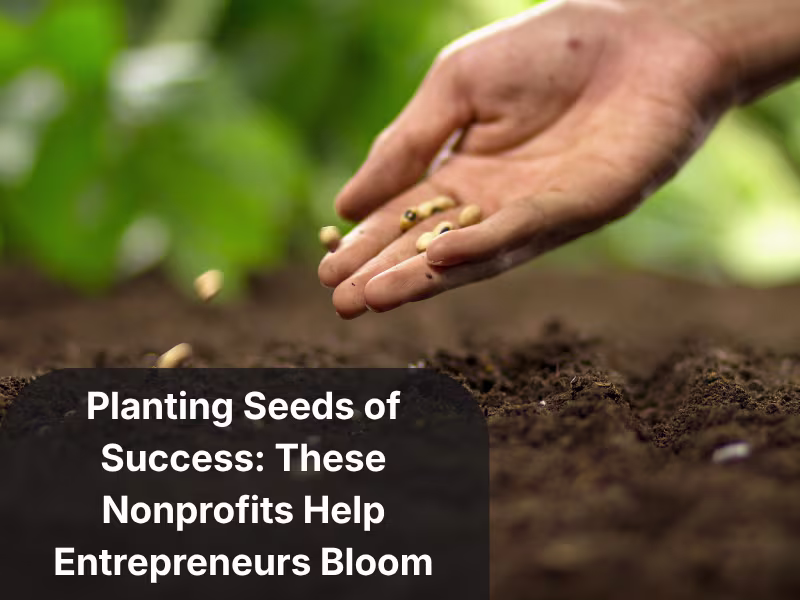 Cover image for Planting Seeds of Success: These