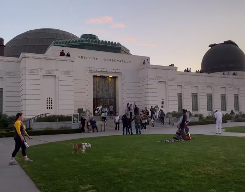 Cover image for Adobe MAX 2019