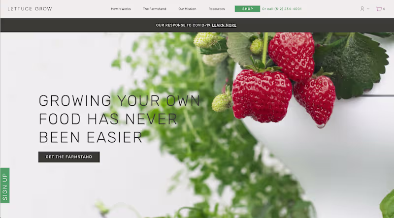 Cover image for Lettuce Grow Website