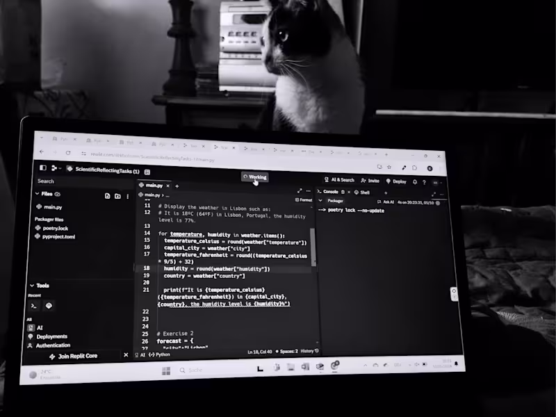 Cover image for Build the website of your dreams quickly!