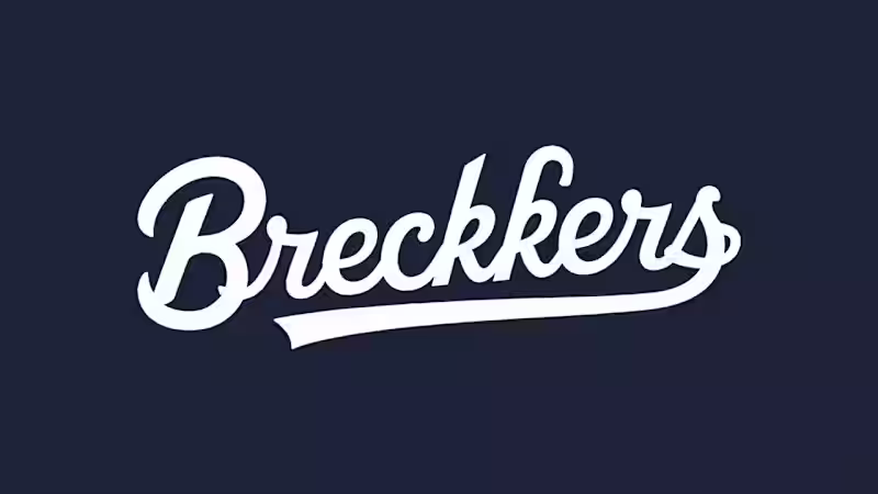 Cover image for I am a expert Wordmark logo design