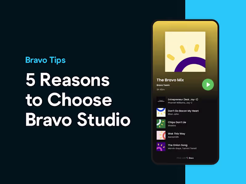 Cover image for Educational Video Production for Bravo Studio