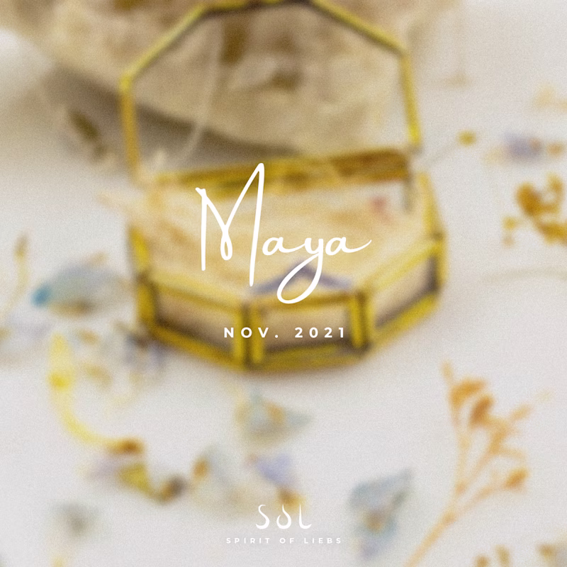 Cover image for MAYA for SOL