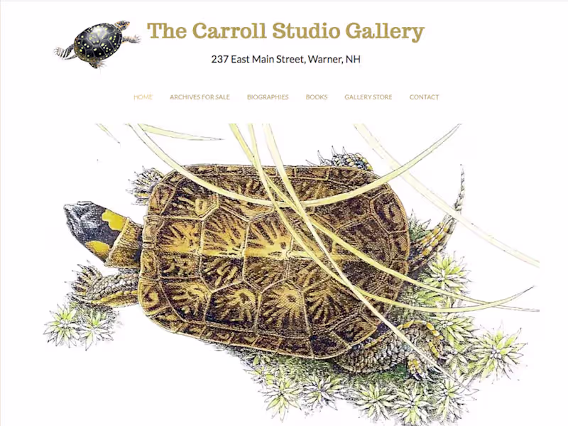 Cover image for Art gallery website and online