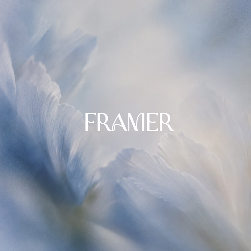 Cover image for Framer Website Design & Development for Startups