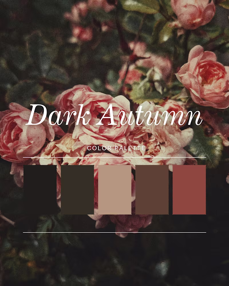Cover image for A curated luxury branding mood
