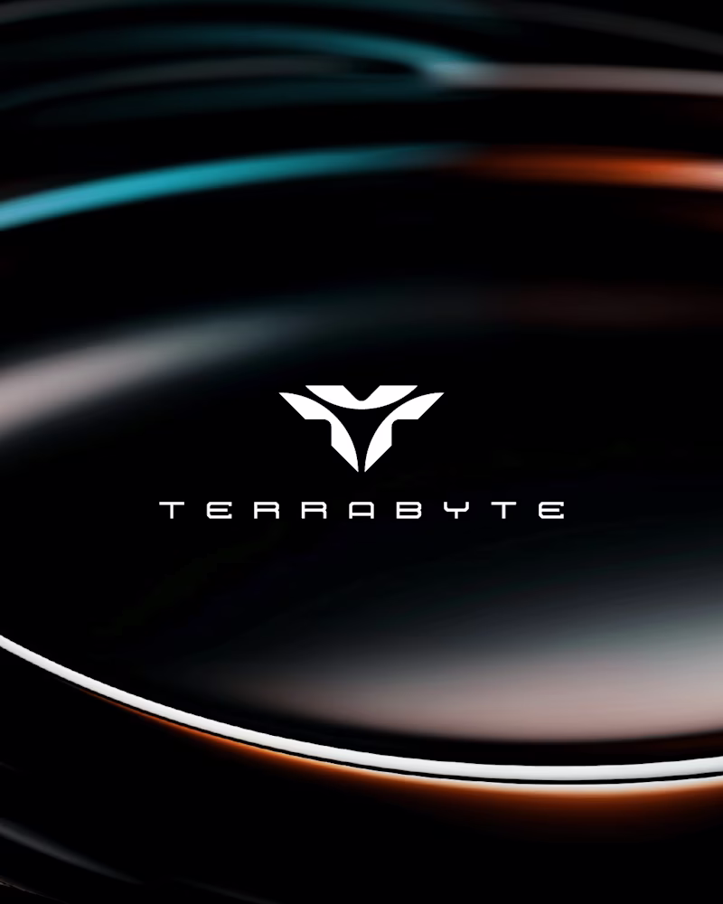 Cover image for TerraByte — Branding & Visual Identity Exploration