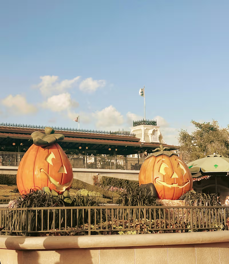 Cover image for Disney Marketing Photography