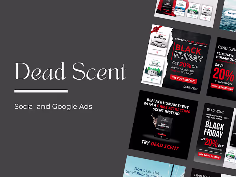 Cover image for B2C: Marketing & Digital Ads 