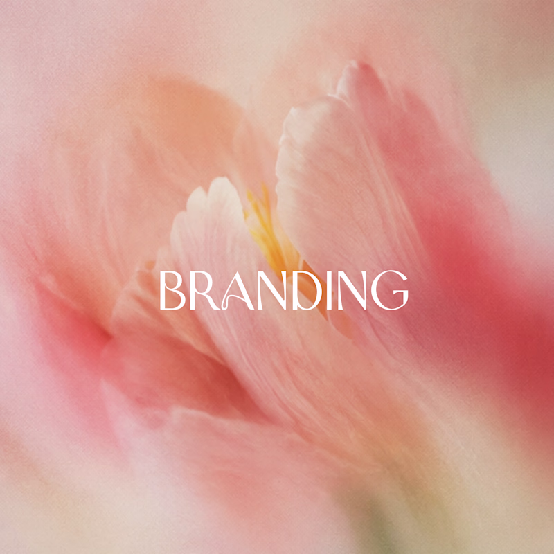 Cover image for Brand Identity Design & Strategy for Startups