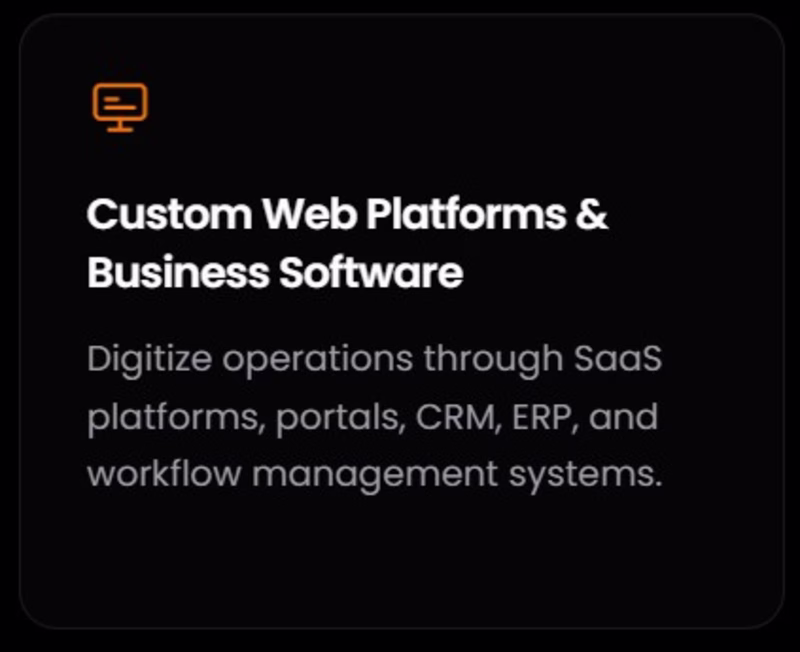Cover image for Custom Web Platforms & Business Software