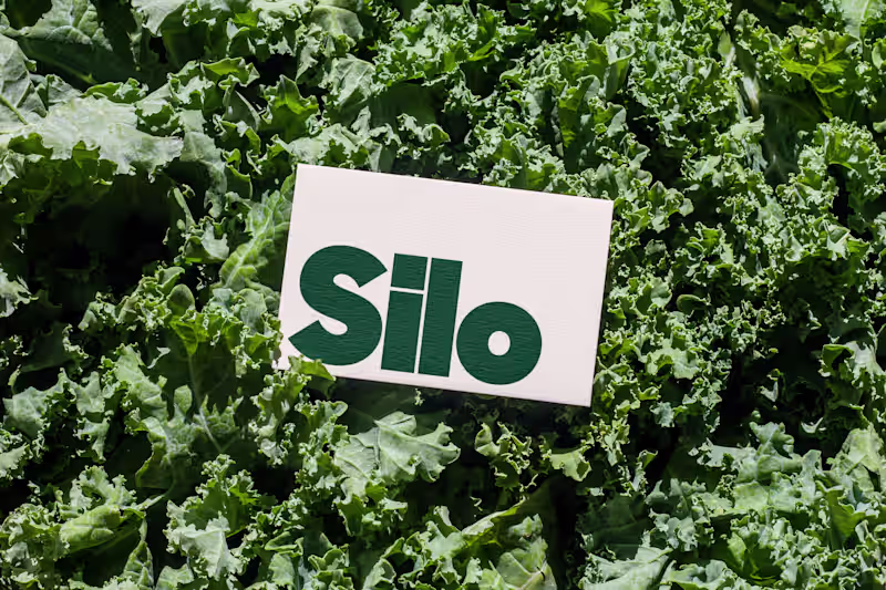 Cover image for Silo