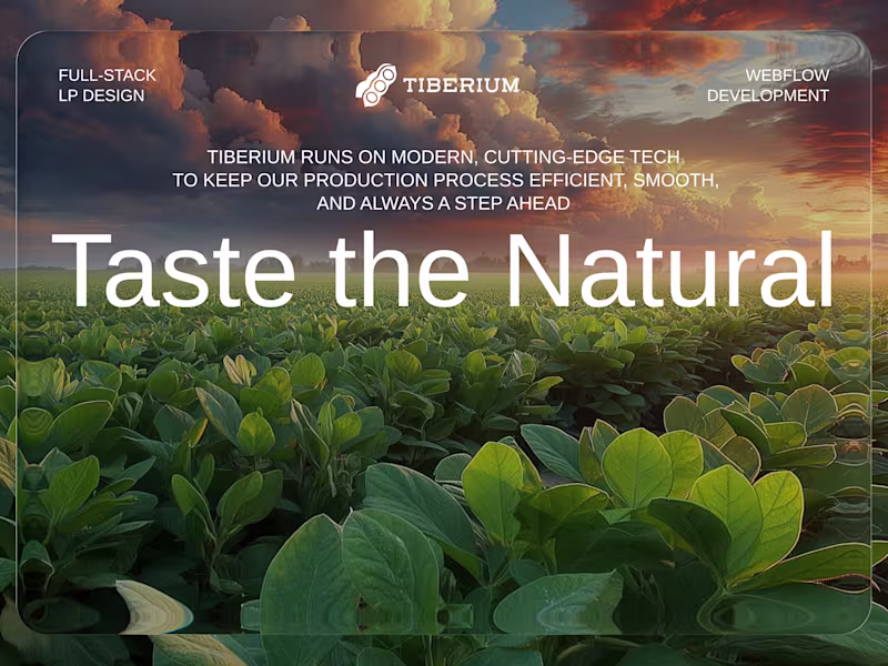 Cover image for Landing Page UX/UI & Webflow Implementation