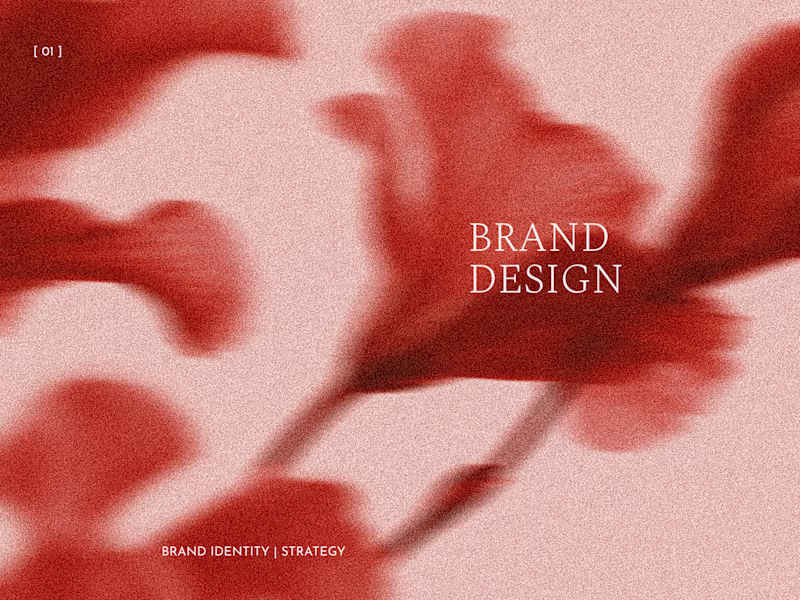 Cover image for Brand Design